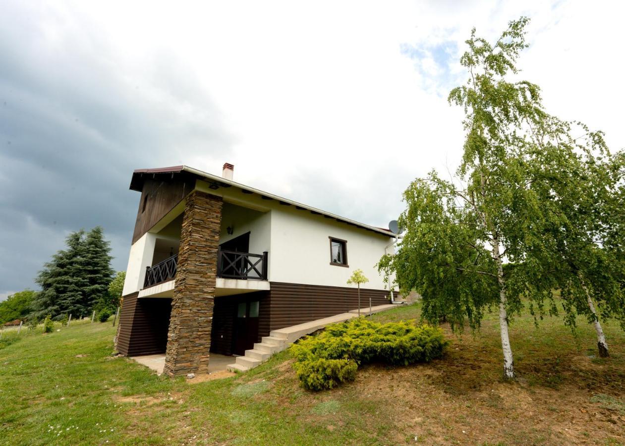 Vila Pellegrini Aranđelovac Exterior foto