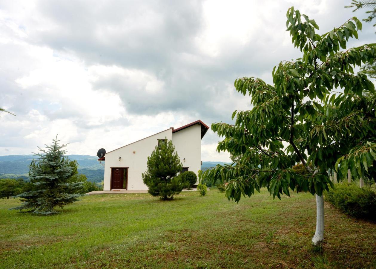 Vila Pellegrini Aranđelovac Exterior foto